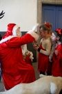 Journée de Noël