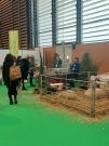 Mondial des métiers de Lyon