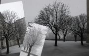 Photo Neige