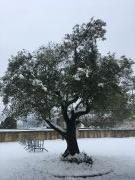 neige 6