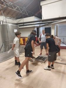Projet vinification
